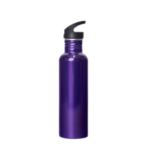 Central Shore Straw Water Bottles Royal